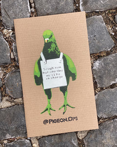 Placard Pigeon - Laugh Now ... - Green