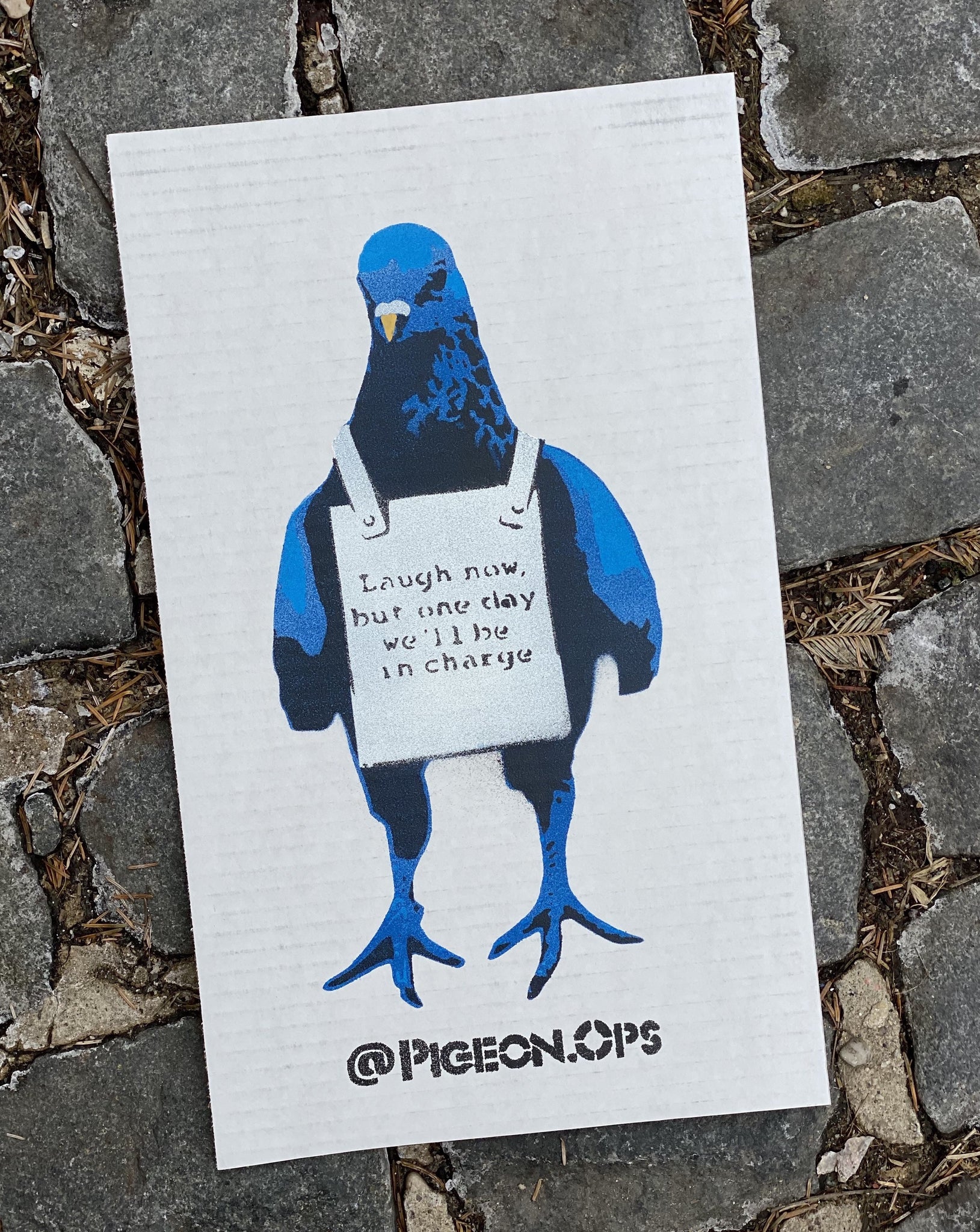 Placard Pigeon - Laugh Now ... - Blue